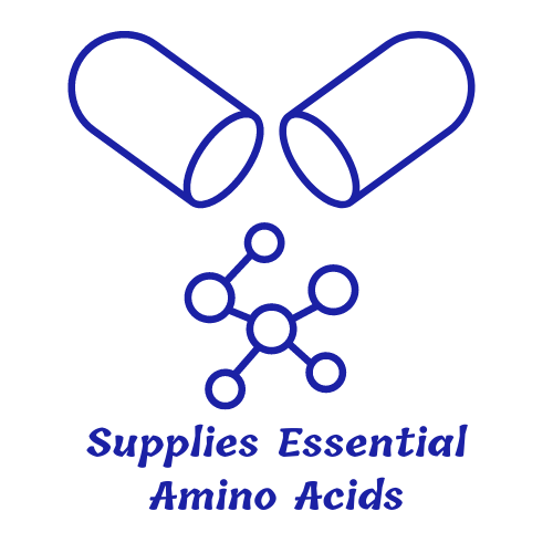 Supplies Essential Amino Acids
